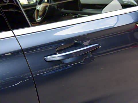 2020�� 3.0T V6 ������ͳ��