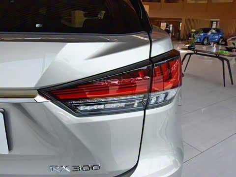 2020�� 300 �������Ű� ��VI