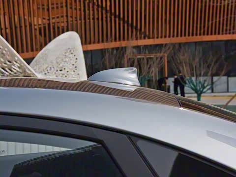 2019�� Redline 320T ˫���ˬ��� ��VI