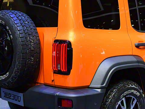 2021�� ԽҰ�� 2.0T ������