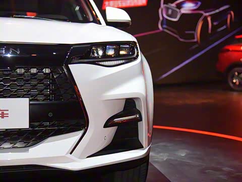 2019�� 2.0T �Զ��콢��