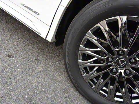 2020�� 300h ����������