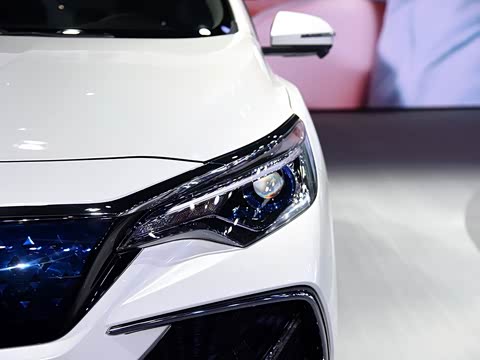 2019�� ������������