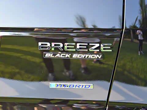 2020�� �񡤻춯 2.0L �����񡤻�ҹ��