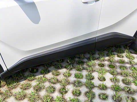 2018�� 2.0L ���Ű� ��V