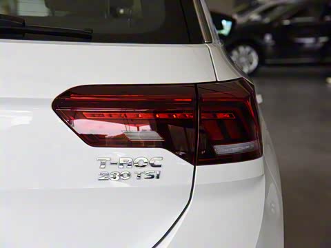 2019�� 230TSI DSG������ȡ�� ��VI