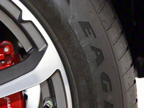 2019�� 3.0T ������ ��VI