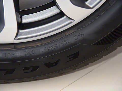 2019�� 3.0T ������ ��VI