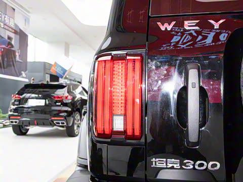 2021�� ԽҰ�� 2.0T ��ս��