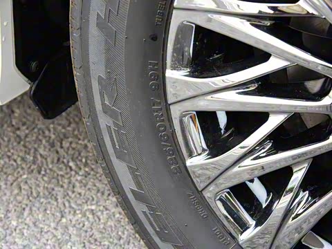 2020�� 300h ����������