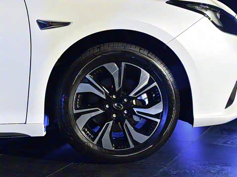 2019�� �� 530