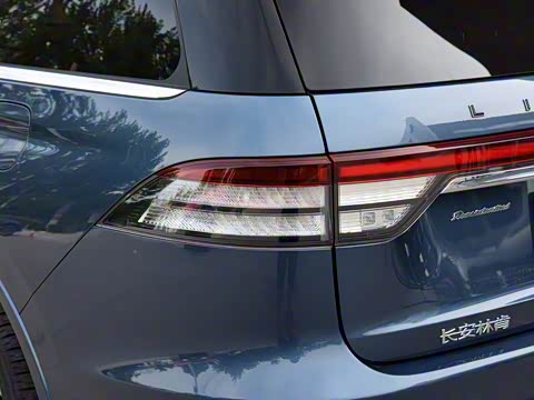 2020�� 3.0T V6 ������ͳ��