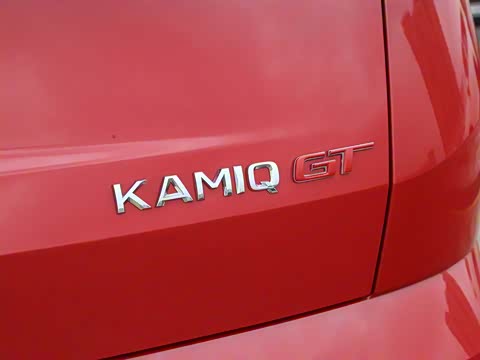 2020�� �Ŀ� GT 1.5L �Զ����ʰ� ��VI