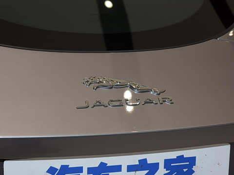 2021�� P300 ����First EditionӲ����