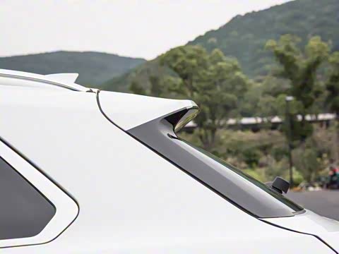 2019�� 2.0T �Զ��콢��