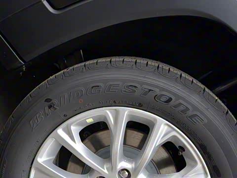 2019�� 2.0T ����ר���� ��VI