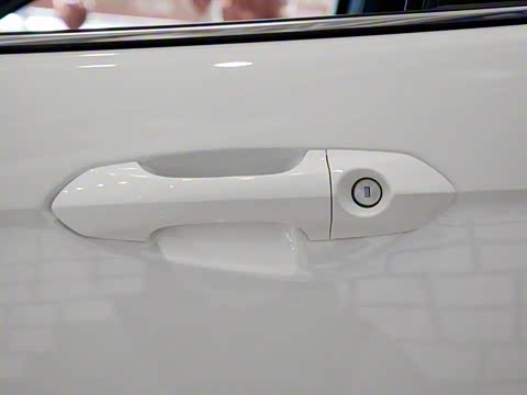 2019�� 1.5L �ֶ�������