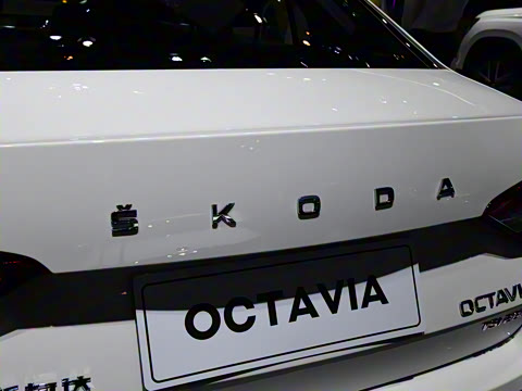 2020�� TSI280 DSG���к�����