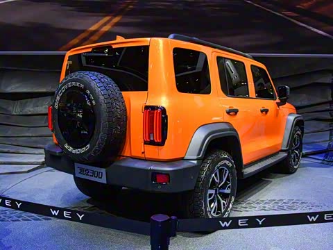 2021�� ԽҰ�� 2.0T ������