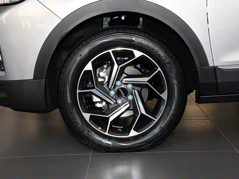 2021�� PRO 1.6T �Զ����ܰ�