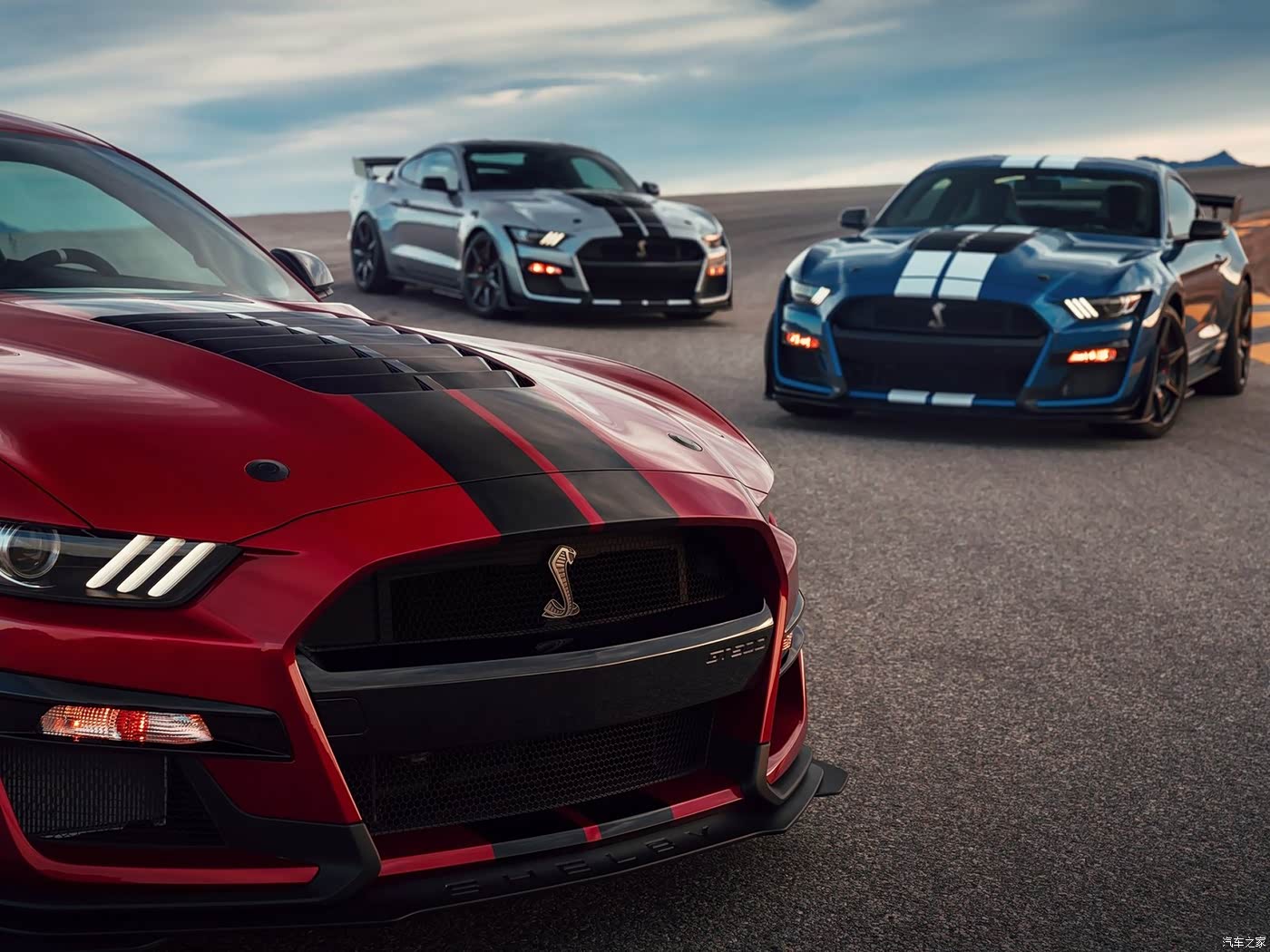 2020款shelbygt500