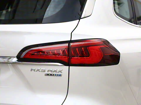 2021�� Supremeϵ�� 300TGI �Զ��������հ�