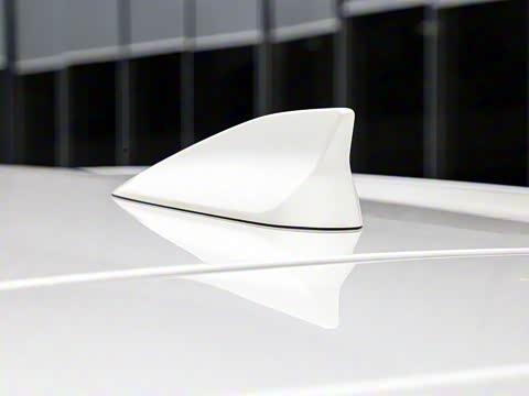 2020�� �Ŀ� 2.0L �Զ�����������