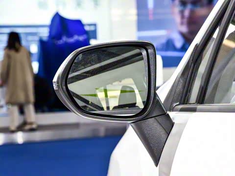 2020�� �����