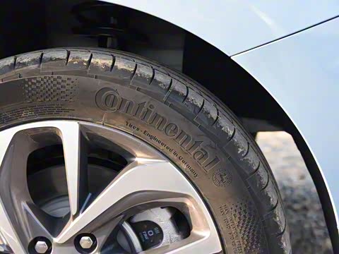 2020�� ���������� PLUS