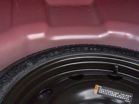 2019�� RS 330T �Զ�ʹ��� ��VI