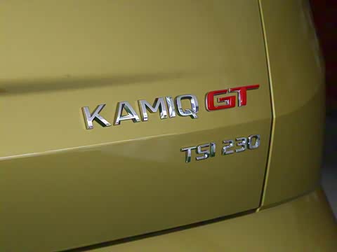 2020�� �Ŀ� GT TSI230 DSG���ʰ� ��VI