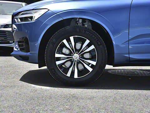 2021�� T5 ���������˶���