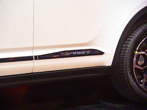 2019�� 2.0T �Զ��콢��