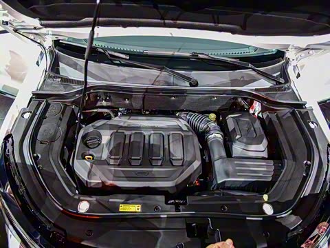 2019�� EcoBoost 145 CVT������PLUS ��V