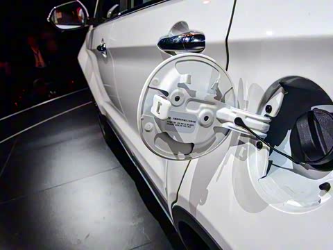 2019�� EcoBoost 145 CVT������PLUS ��V