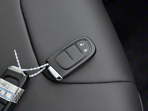 2019�� 2.0T ����ר���� ��VI