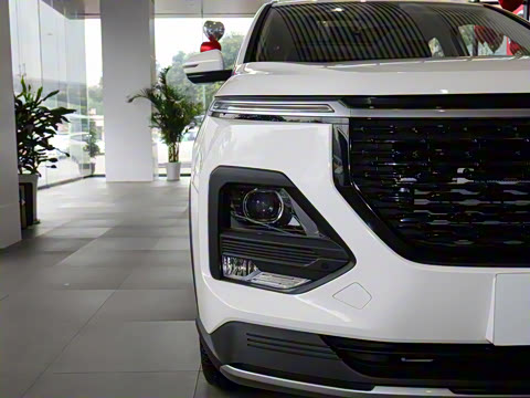 2021�� ȫ���������� 1.5T �ֶ������ 7��