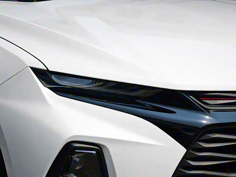 2020�� Redline 650T 7�� ����