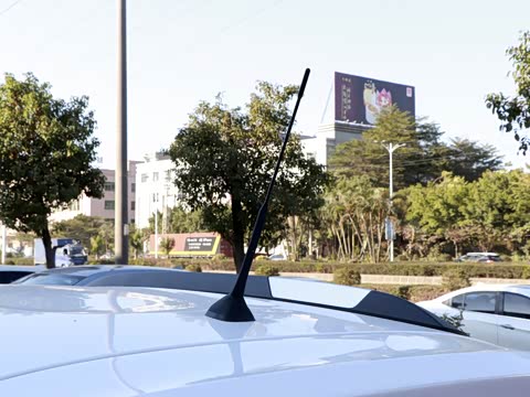 2020�� ���