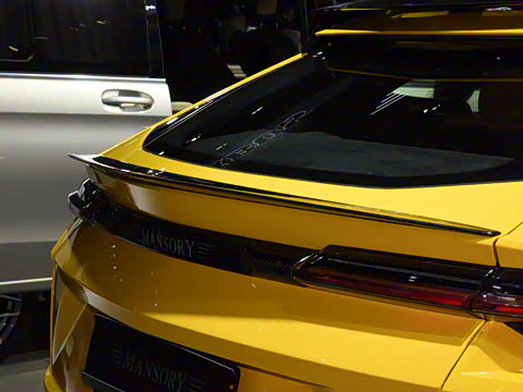 2021�� 4.0T V8 ��׼��