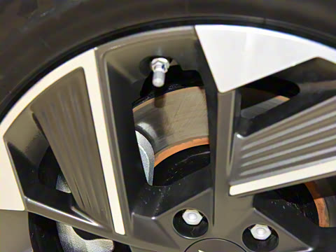 2021�� 80 ����������