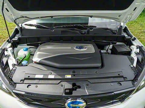 2017�� 310 ������