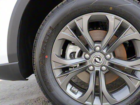 2022�� 1.5T �ֶ�������