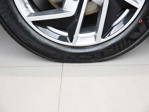 2021�� Pro 500 ���°�