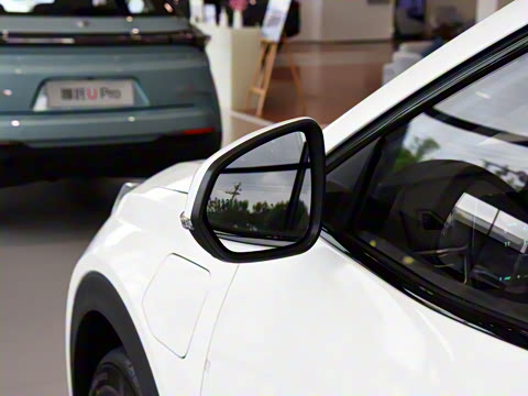 2021�� Pro 500 ���°�