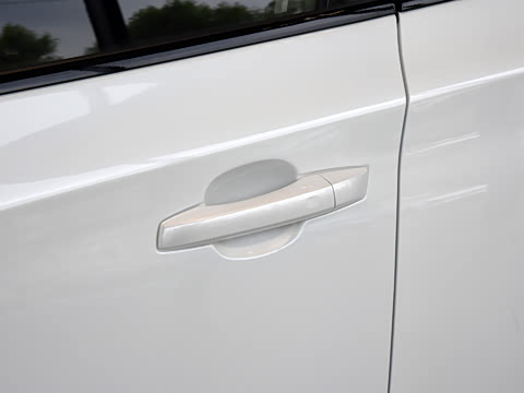 2021�� Pro 500 ���°�