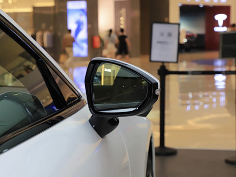 2021�� ��������˫��� YOU��