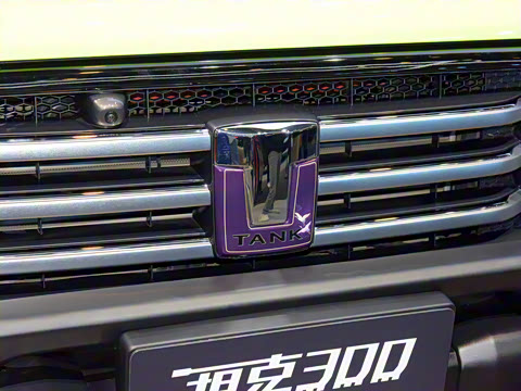 2021�� 2.0T ̹������