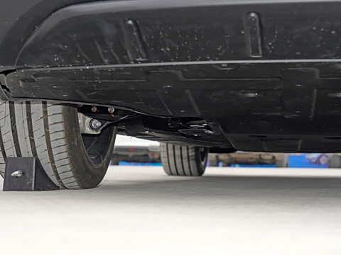 2021�� ������