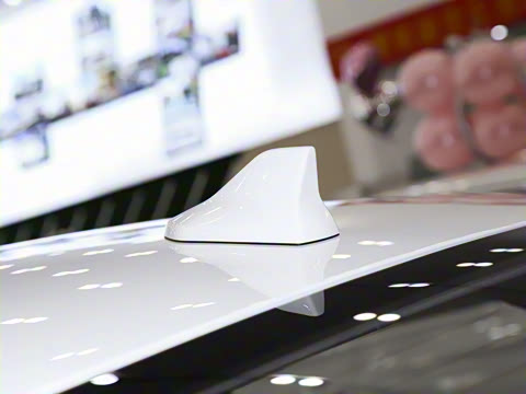 2021�� ������ �������� �����